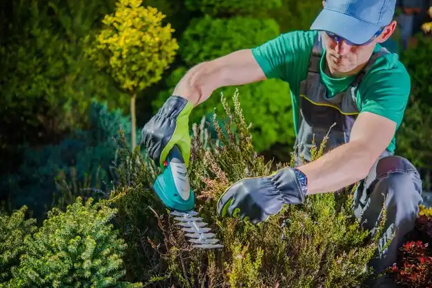 landscaping services Pleasant Hope